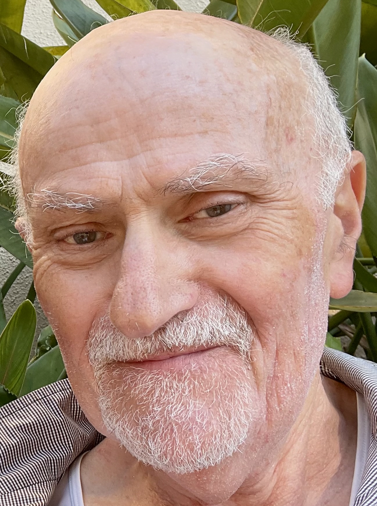 Abe (Avi) Paluch